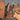 Spada 3 Piece Knife Set - Klaus Meyer